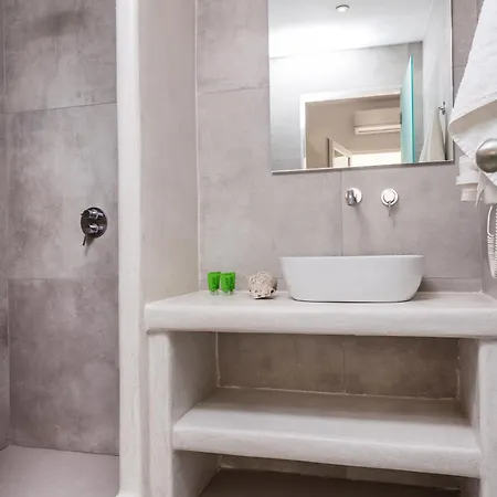 Ξενοδοχείο με διαμερίσματα Naxos Ark Naxos City